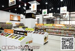 加盟开家一扫光零食店 创业顾家两不误