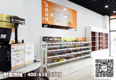 零食店加盟找准品牌 创业之路更加平坦