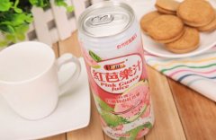 炙手可热零食加盟品牌就选一扫光